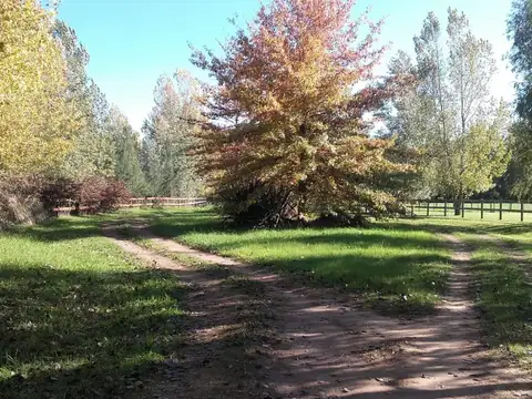 Haras El Malacate