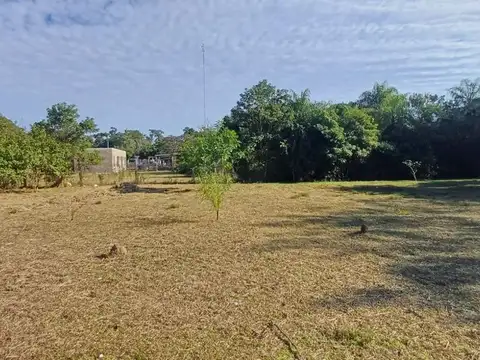 CAÁ GUAZÚ Y BELGRANO 100