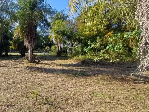 CAÁ GUAZÚ Y BELGRANO 100