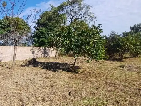 LOTES EN VENTA 9 DE JULIO, CORRIENTES