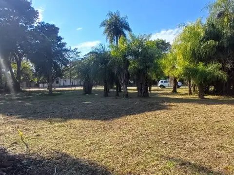 Lotes en venta 9 de julio, corrientes