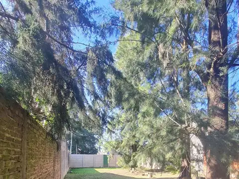 Miguel de Unamuno 5400