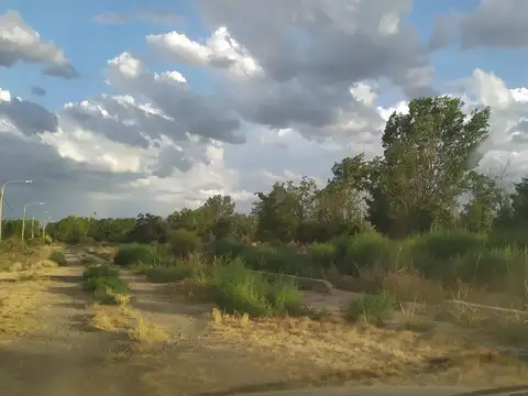 Terreno en Venta en Zapata, USD 15.000