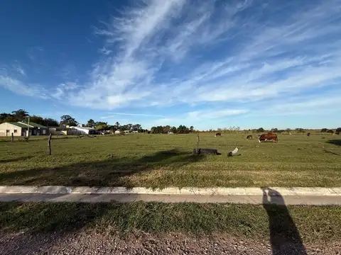 ALQUILER 1 Ha. - Zona Urbana, Maria Luisa.-