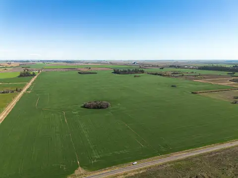 80 Ha. Agrícolas