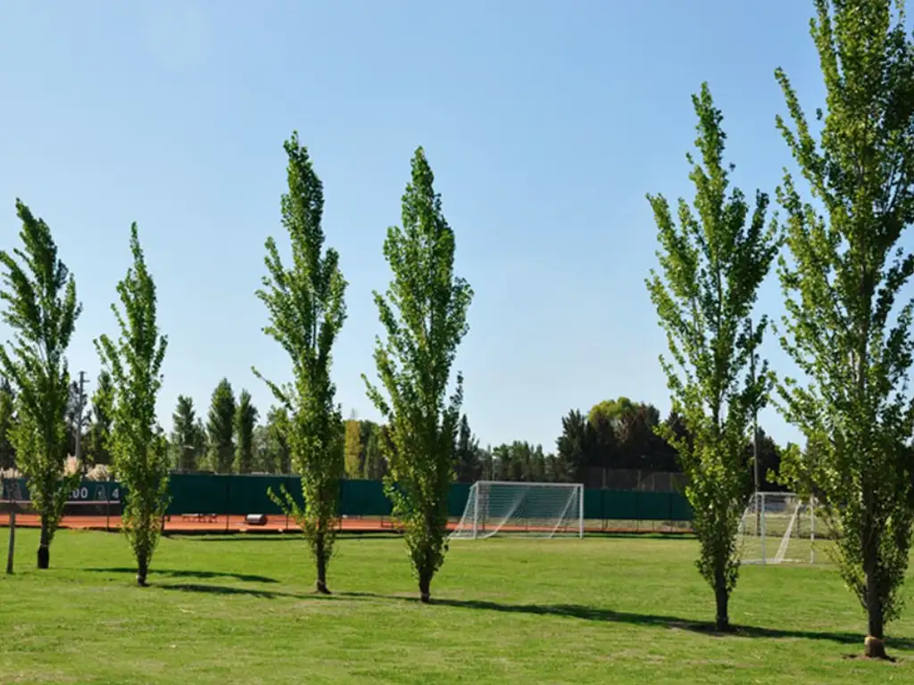 Actividades deportivas futbol, tenis en La Horqueta de Echeverria