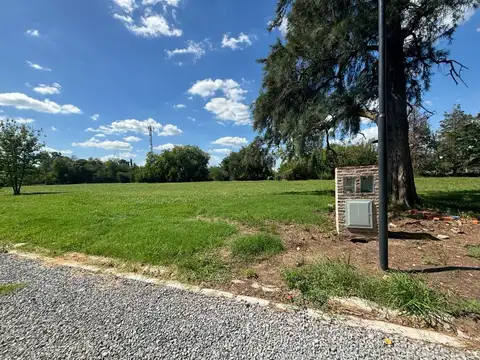 Terreno en Venta 50  mts Fondo