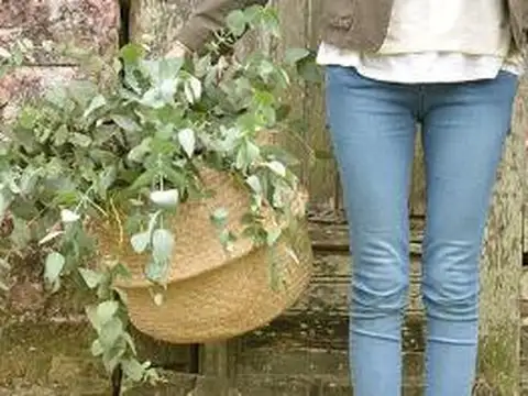 Terreno en Venta en Bella Vista, USD 115.000