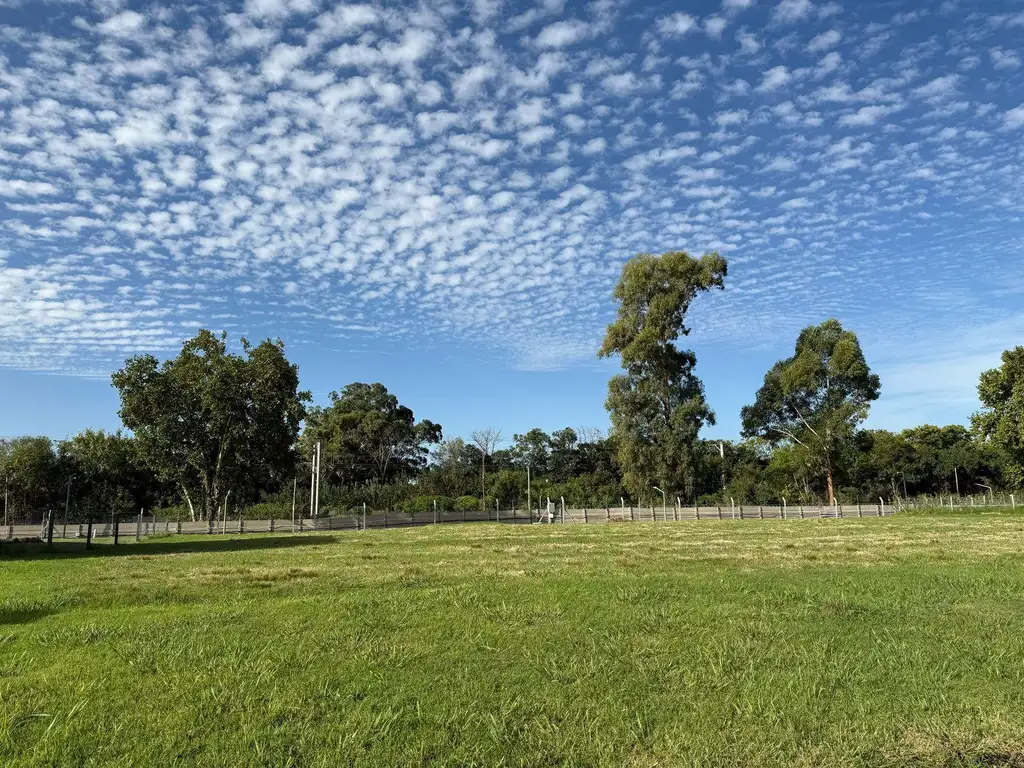 Terreno en Venta