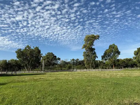 Lote en  Greenville Polo & Resort