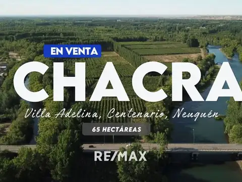 Campo en Venta en Neuquen, Confluencia