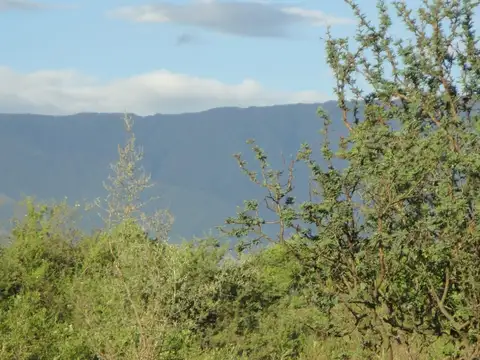 Dos lotes en venta en carpintería 8.665 m2
