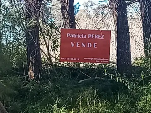 Lote en Arroyo Caraguata 700