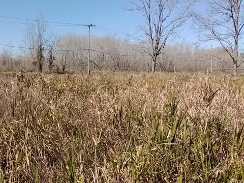 Terreno en Venta 250  mts Fondo