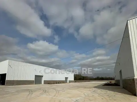 Depósito 1.000 m² a estrenar en Alquiler - Cuartel V - Moreno