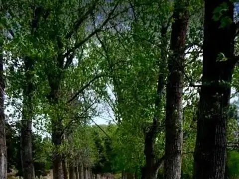 Terreno en venta Las Lomitas