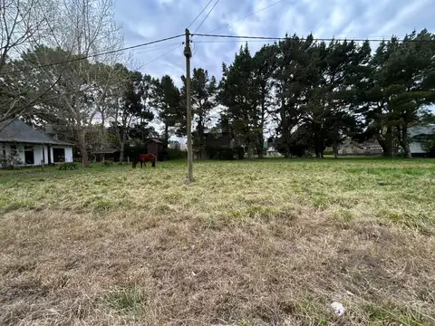 OPORTUNIDAD | VENTA I EXCELENTE LOTE ARBOLADO I LA CALETA
