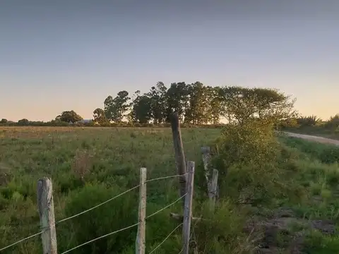 Camino al Talita entre Ruta 11 y 7