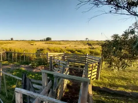 Venta de campo 22 Ha. en Ruta 11 paraje El Talita