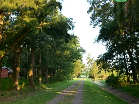 47 HECTAREAS EN VENTA