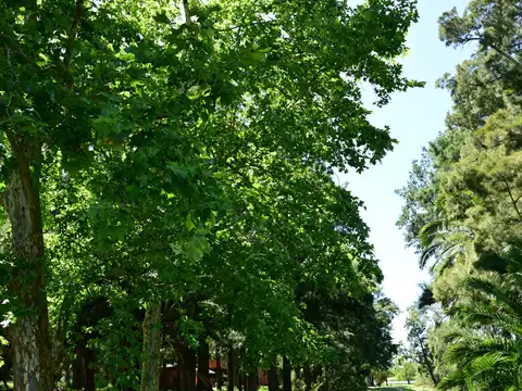 Campo en Venta con Alambrado