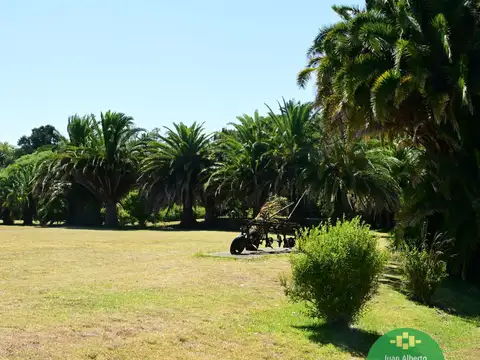 Campo en Venta de 47  ha