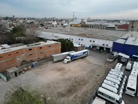 Francisco Pienovi 1000