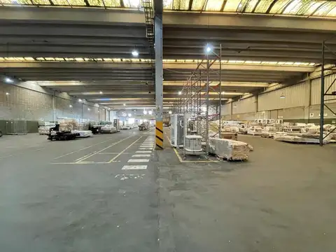 Francisco Pienovi 1000