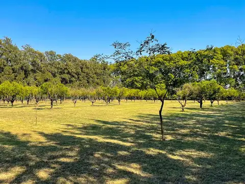 Terreno en Venta en Fighiera, USD 79.500