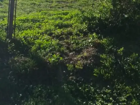 Se Vende club tenis Padle en La Cumbre, Cordoba