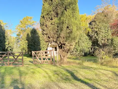 Terreno en Venta en Zapiola, USD 80.000