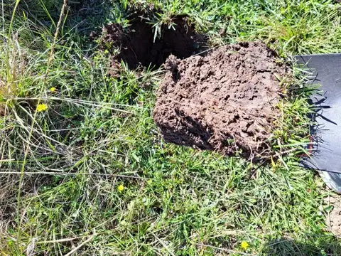 Campo en Venta de 22  ha