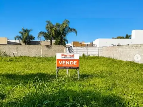 LOTE