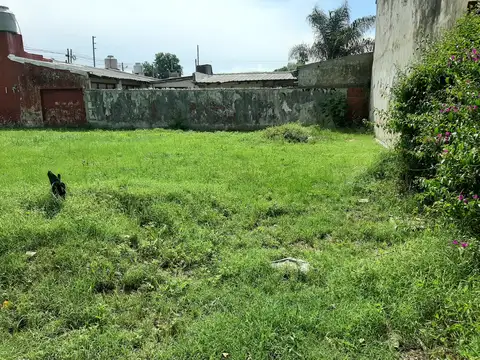 Sarmiento y San Martín