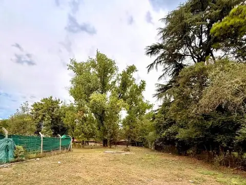 San Luis al 2900