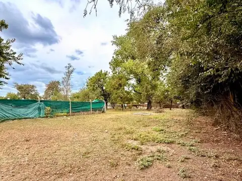 Terreno en Venta 40  mts Fondo