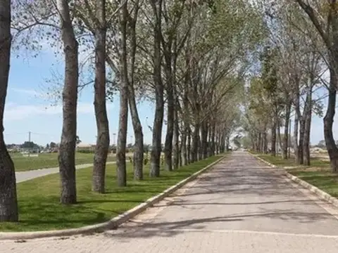 Barrio Privado La Alameda 576 L