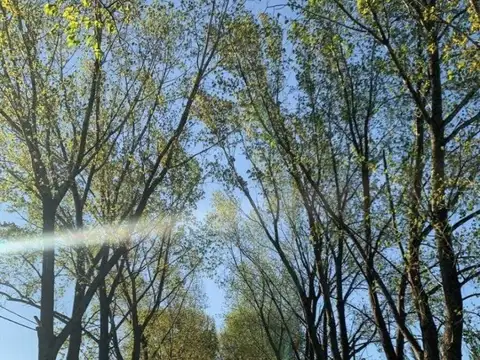 Terreno en Venta de 1391,0 m2