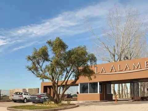 Lote Venta La Alameda