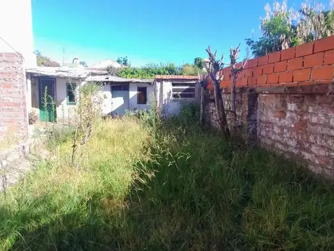 Carlos Pellegrini 2344