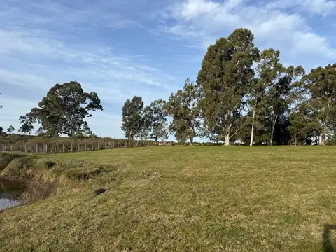 Terreno en Venta de 7683,0 m2