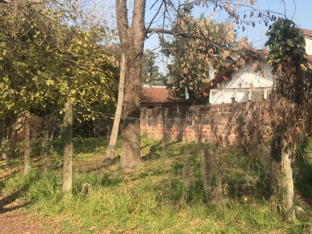 La Plata al 1500