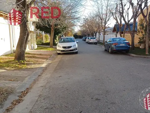 Gabriela Mistral al 100