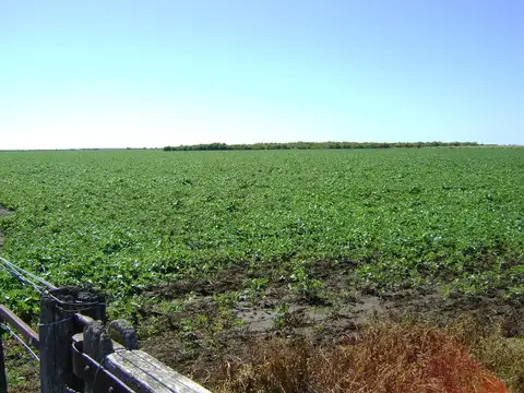 Zona Vicuña Mackenna, Córdoba