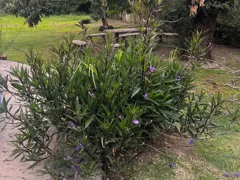 Casa en Venta 20 años