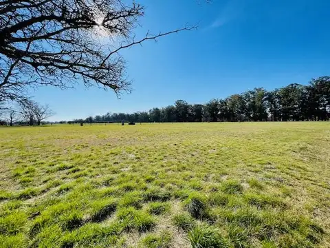 Terreno en Venta en Estancia Villa Maria, USD 48.000