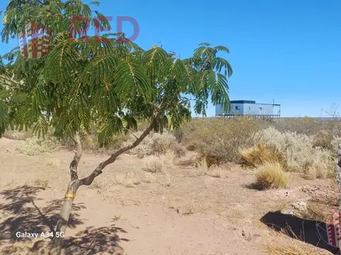 Chocon Medio sector Praderas 4A Lote 4