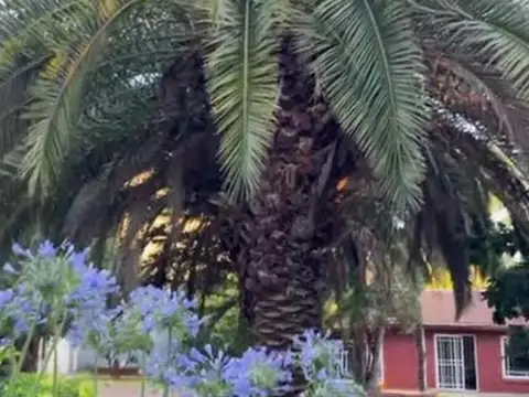 Quinta en Venta en Villa Luzuriaga, USD 145.000