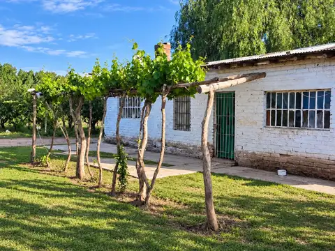 Campo en Venta en Rama Caída, San Rafael