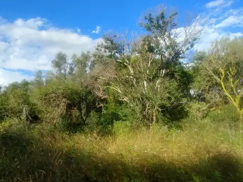 Terreno en Venta 31  mts Fondo